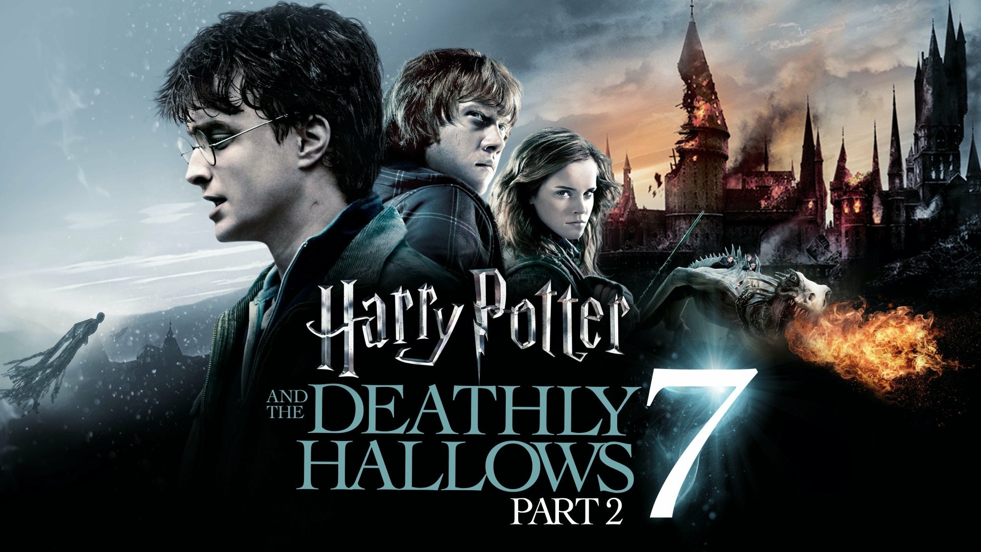 Harry Potter: Deathly Hallows Part 2 (2011)