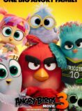 The Angry Birds Movie 3